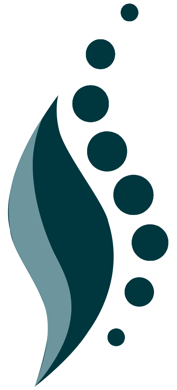 Dr. Lori Nuzzi logo graphic.